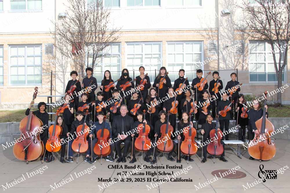 Musical Images